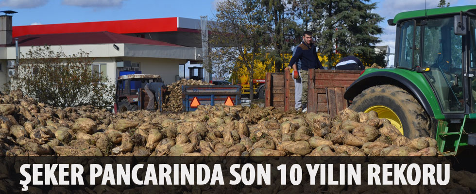 Pancar üretimi yüzde 110 arttı