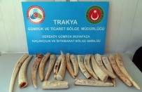 DEREKÖY - Sınır Kapısında 18 Fildişi Ele Geçirildi