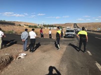 KAMERA SİSTEMİ - Siverek'te Okul Taşıtları Denetlendi