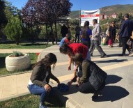 SEYIT RıZA - Tunceli'de Sokak Hayvanları Koruma Günü Etkinlikleri