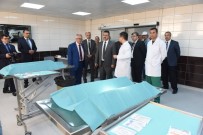 DÜNYA HAYVANLARı KORUMA GÜNÜ - 4 Ekim Dünya Hayvanları Koruma Günü Kutlandı