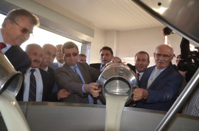 Bafra'da Damızlık Manda Üreticileri Birliği Süt Toplama Merkezi Açıldı