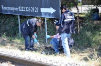 YÜKSEK GERİLİM - Ceviz Toplarken Elektrik Akımına Kapıldı