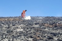 Gümüşhane'de Örtü Yangını