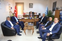 APRON - Kapadokya Havalimanı 1 Kasım'da Açılıyor