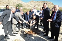 Mardin'de 'Zeytin Gen' Bahçesi Kuruldu