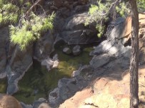 TOPARLAR - 5 Hainin Öldürüldüğü Bölge İlk Kez Görüntülendi