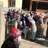 KANSER TARAMASI - Köylerde Kanser Taraması Yapılıyor