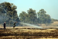 Samsun'da Anız Yangını