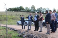 BALIK TUTMA - Sipahiler Ve Sevindikli Göletleri'nin Çehresi Değişiyor