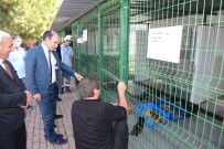 YILDIRIM BELEDİYESİ - Yıldırım'da Can Dostları Sahipsiz Değil