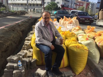 Fındık Üreticisi Fındığını TMO'ya Verememenin Üzüntüsünü Yaşıyor