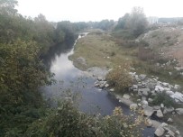 AMATÖR KAMERA - Mudurnu Deresi Kimyasal Atıklarla Kirletiliyor