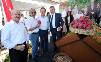 Çukurova'nın Tarımsal Ürünleri Lezzet Festivali'nde Sergilendi