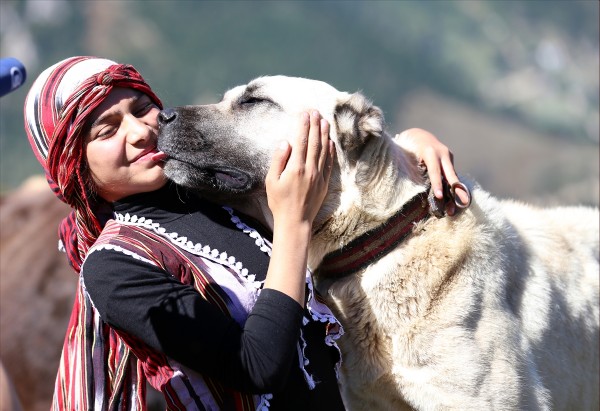 Türkiye'nin 'Heidi'sinin hayali veteriner olmak