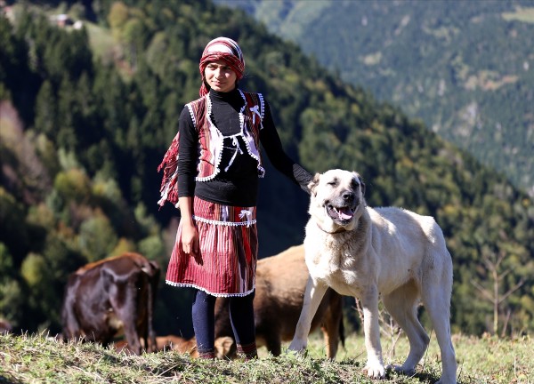 Türkiye'nin 'Heidi'sinin hayali veteriner olmak
