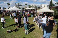 DÜNYA HAYVANLARı KORUMA GÜNÜ - Hayvanseverler Patifest'te Buluştu