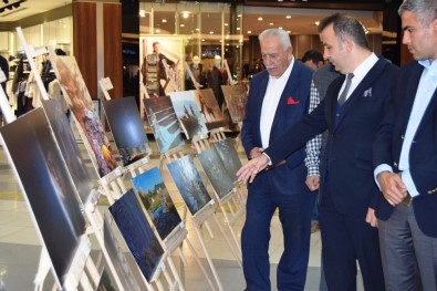 Malatyapark MAFSAD'ın Sergisine Ev Sahipliği Yaptı
