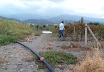 GAFFAR OKKAN - Manisa'da Üzüm Bağlarında Cinayet