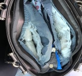 Tam 5 Kilo  Açıklaması Çanta Astarından Çıktı