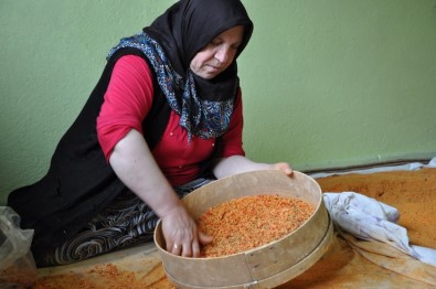 Uşak Tarhanası Bin Derde Deva