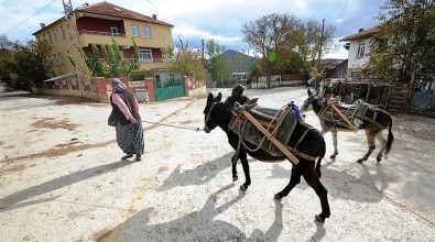 98 Yıllık Köyün Tarihi Sorunları 2 Yılda Çözüldü