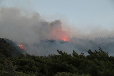 Datça'daki Orman Yangını Devam Ediyor