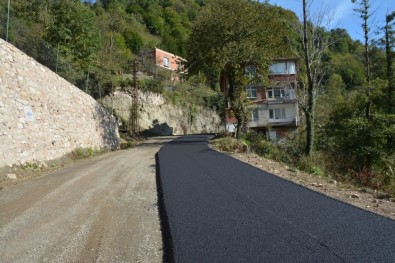 Fatsa'da Sıcak Asfalt Çalışmaları