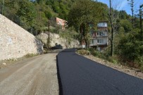 BOLAMAN - Fatsa'da Sıcak Asfalt Çalışmaları