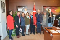 YÖRÜKLER - Söke Yörükler Ve Efeler Derneği Kuruldu