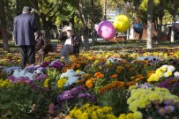 Sonbahar'da 374 Bin 500 Adet Kasımpatı Ve Menekşe Dikimi Yapıldı