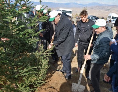 Suşehri'nde Hatıra Ormanına 5 Bin Fidan Dikildi