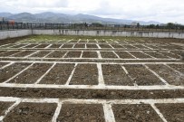 UZUN ÖMÜR - Tekkeköy'de Mezarlık Yeri Sorunu Çözüldü