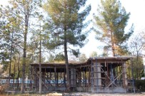 Hani Belediyesi 35 Yıllık Çam Ağacını Kesmemek İçin Projede Değişiklik Yaptı