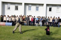 Tokatlı Miniklere Jandarmadan Köpekli Gösteri