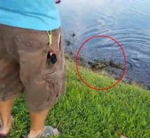 AMATÖR BALIKÇI - Balık Beklerken Timsah Yakaladı.