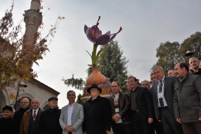 Safranbolu'da Safran Bitkisi Heykeli Açıldı