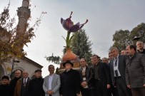 ALI ÖZCAN - Safranbolu'da Safran Bitkisi Heykeli Açıldı