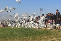 500 Güvercin Dostluk Ve Barış İçin Uçuruldu