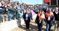 KÖY PAZARI - Başkan Çerçioğlu, Atça Boğa Güreşlerine Katıldı