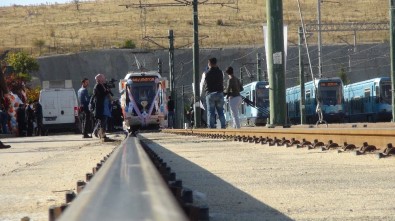 Türkiye'nin En Uzun Gelin Arabası