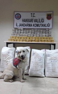 Yüksekova'da 114 Kilo Eroin Ele Geçirildi