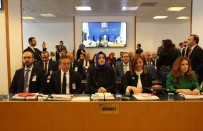 KORUYUCU AİLE - '137 Kadın Konuk Evinde 3 Bin 444 Şiddet Mağduru Var'