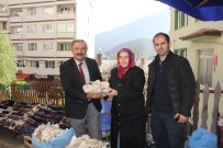 KADIN GİRİŞİMCİ - AKAK'ın İlk İstiridye Mantarları Pazardaki Yerin Aldı