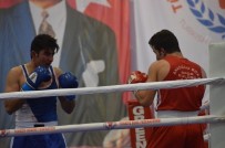 10 KASıM - Aydın'da Boks Heyecanı Sona Erdi