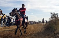 Rahvan Atlar Nazilli'de Yarıştı