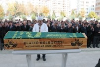 OKTAY KALDıRıM - Bakan Yardımcısı Alpay'ın Acı Günü