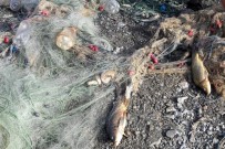 Gümüşhane'de Kaçak Balıkçılara Darbe