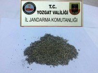 Jandarma Yol Kontrolünde Bonzai Ele Geçirdi
