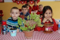 Kalemleri Çiçek Açıyor